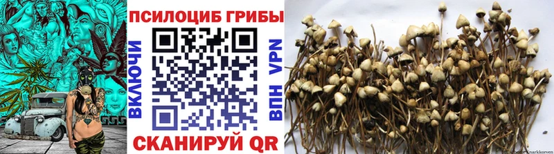 Псилоцибиновые грибы мухоморы  Купить  Протвино 